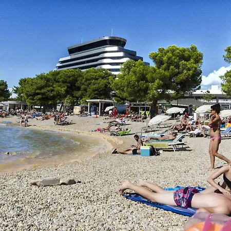 Vesna Vodice